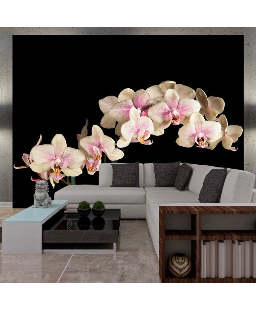 Fototapetas  Blooming orchid