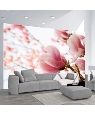 Fototapetas  Pink magnolia