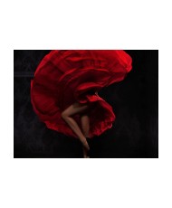 Fototapetas  Flamenco dancer